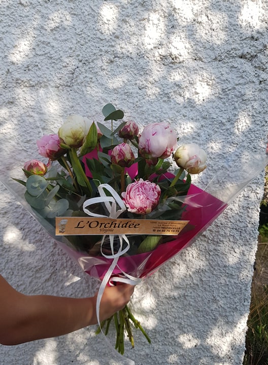 Bouquet de pivoines