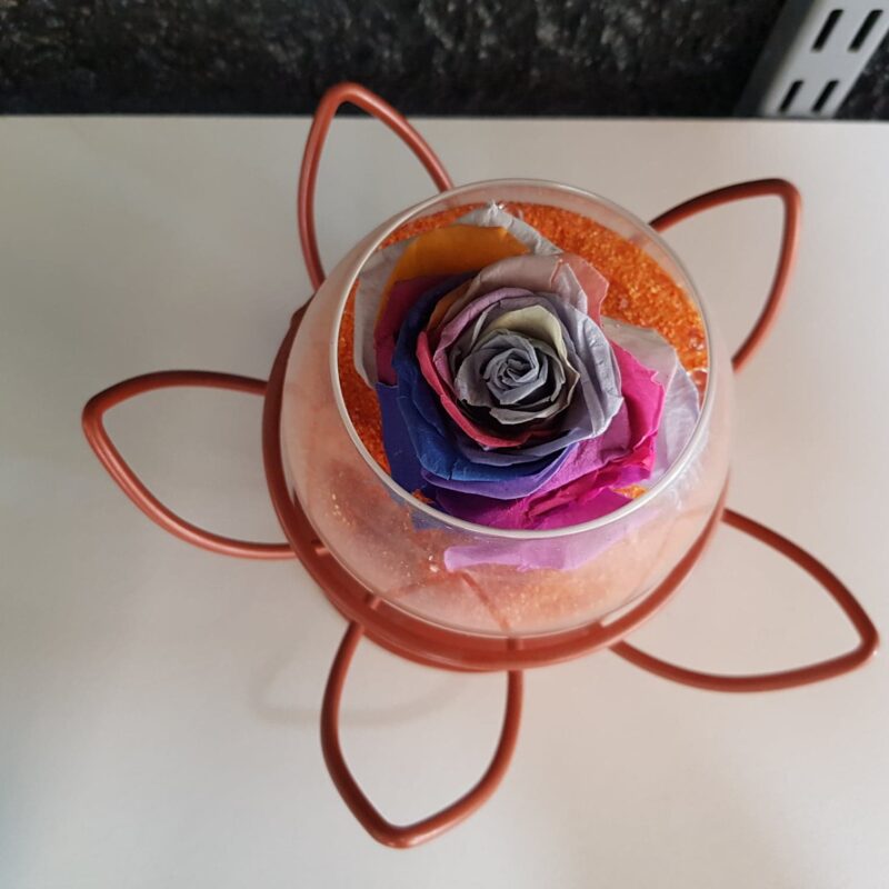 Alternative view of Rose stabilisée multicolore avec son contenant fleur