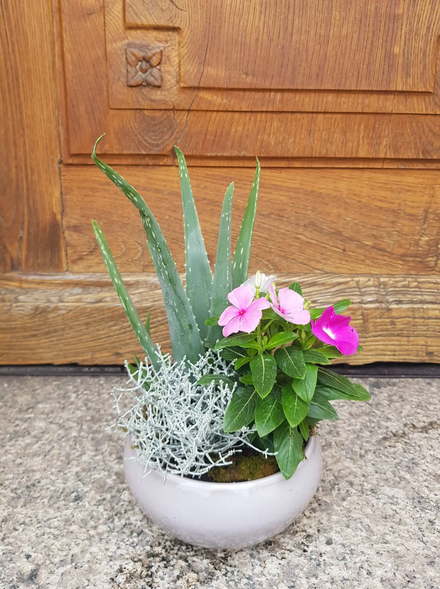 Assemblage de plantes vertes et fleuries