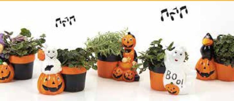 Halloween + musique + Plante verte