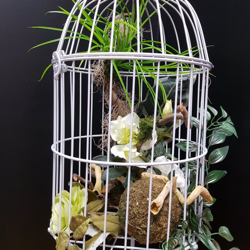 Alternative view of Cage fleurie