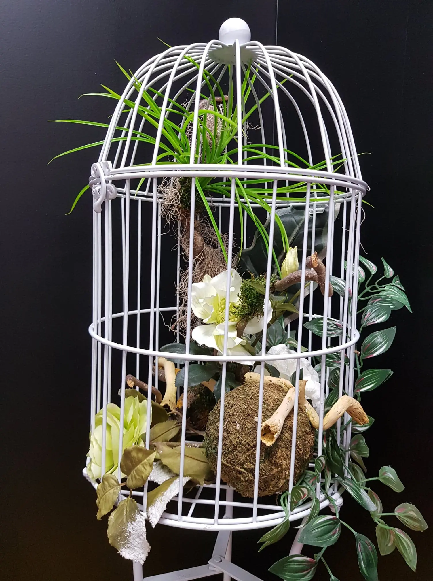 Cage fleurie – Image 2