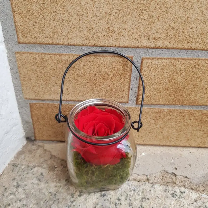 Alternative view of Une tête de rose stabilisée dans son contenant en verre