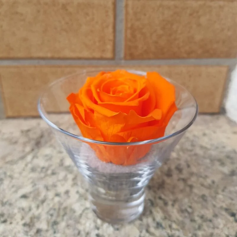 Alternative view of Rose éternelle dans son contenant en verre