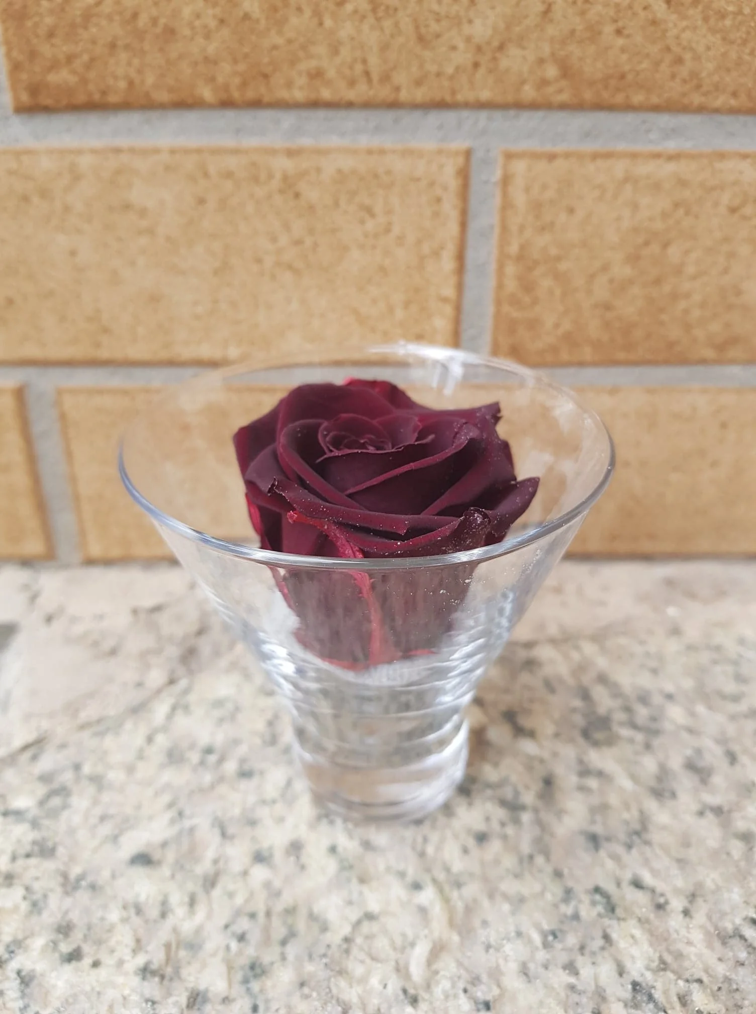 Rose éternelle dans son contenant en verre – Image 4