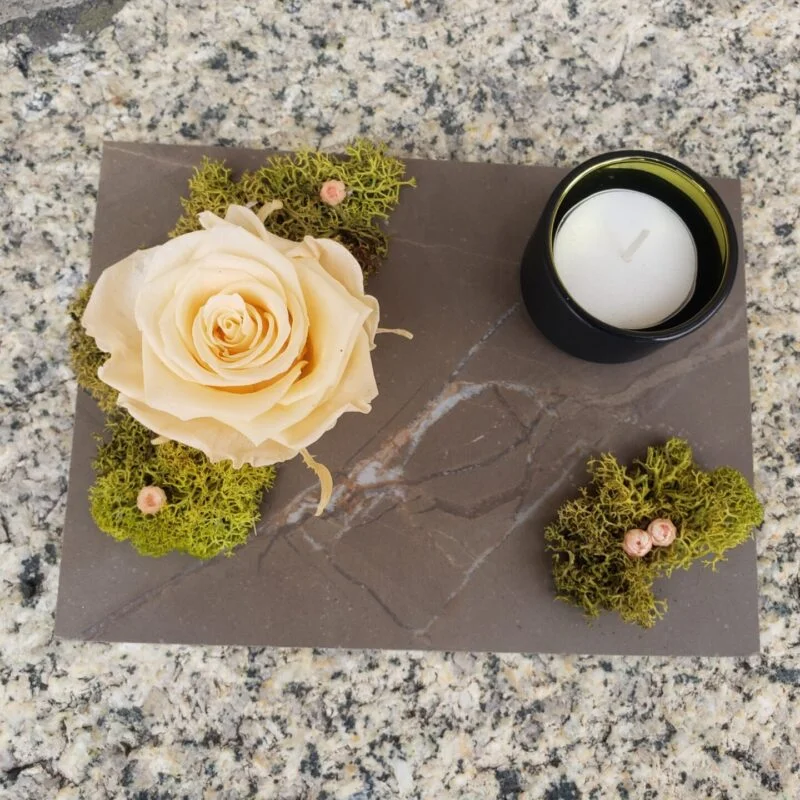 Alternative view of Végétalis