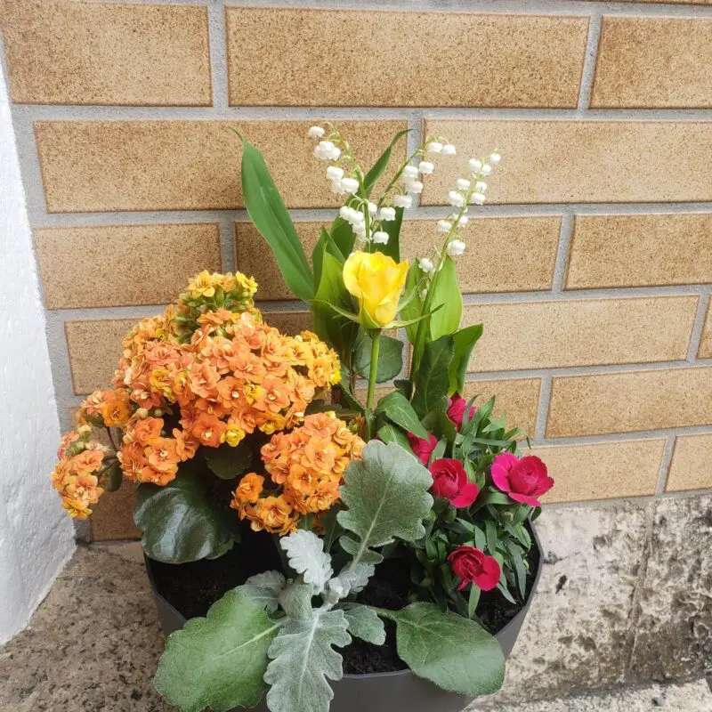 Composition de Muguet 'Brin de Jardin"