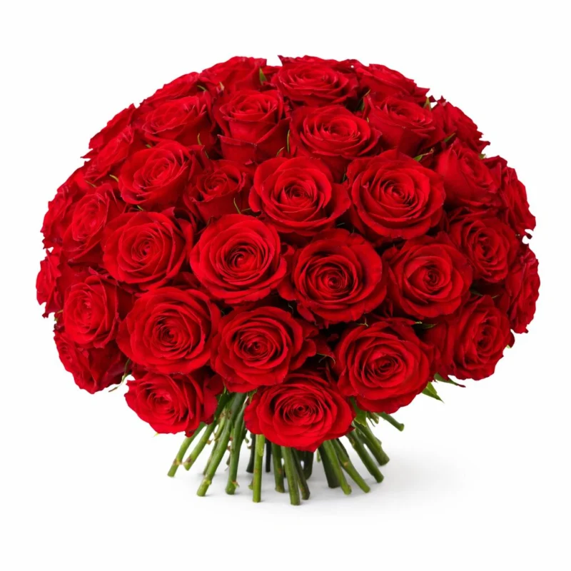 bouquet de roses rouges