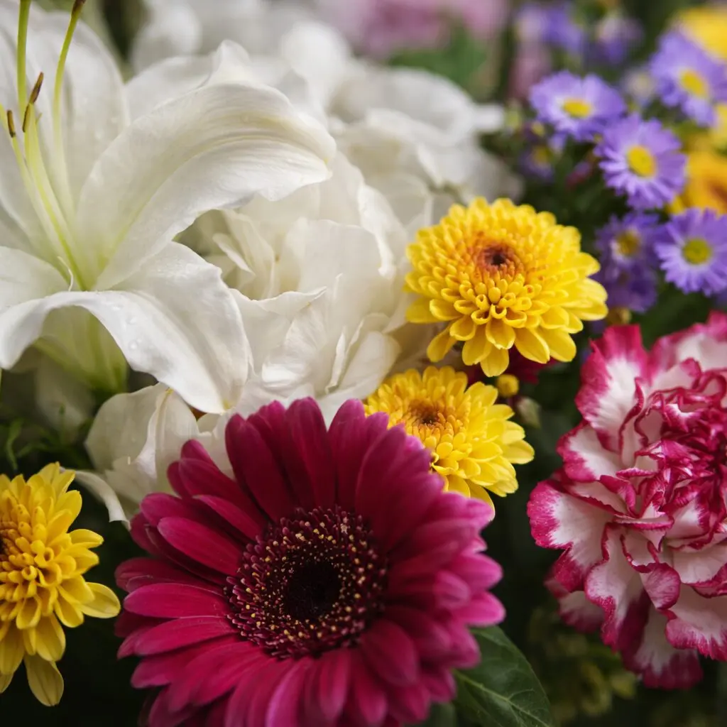 bouquet surprise 4 details et zoom