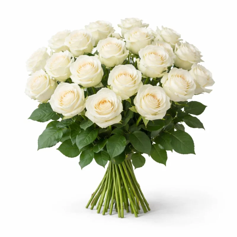 Bouquet de Roses Blanches
