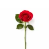 Rose rouge longue tige 50 cm Fleuriste