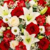 rouge et blanc