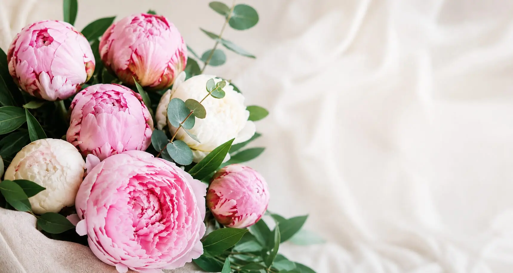 Bouquet de pivoines roses et blanches